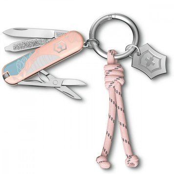 Складаний ніж Victorinox CLASSIC SD Paris Style 0.6223.E221 Vx06223.E221 фото