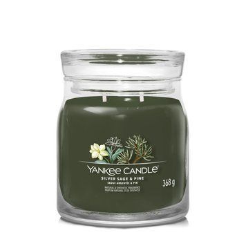 Ароматическая свеча Yankee Candle Silver Sage & Pine Medium 1630027E фото